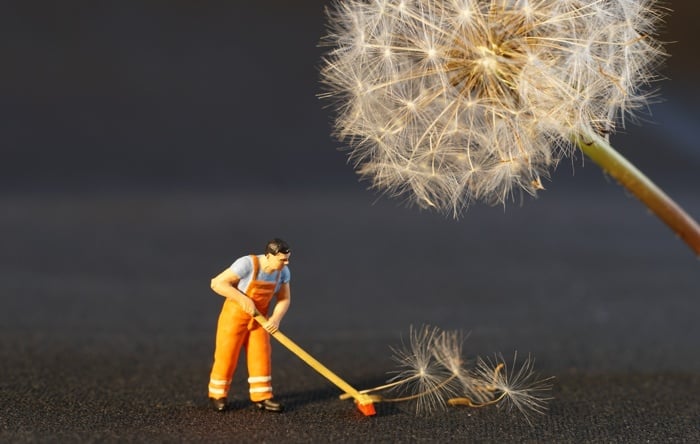 What Do I Need to Start a Cleaning Business in Singapore