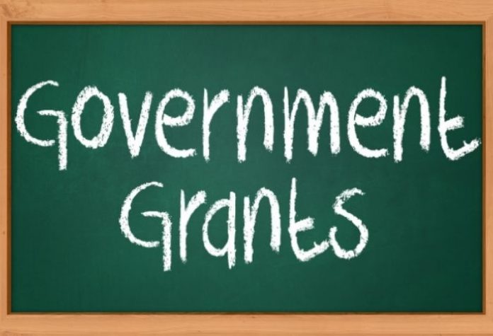 Singapore Government Grant
