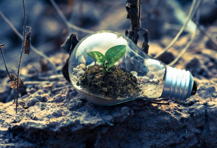 Environmental Services Industry Digital Plans: SMEs Should Know About