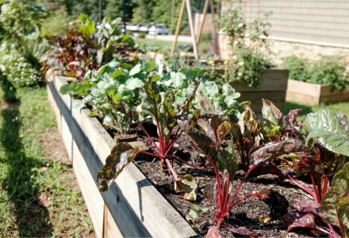 Landscaping Services in Singapore
