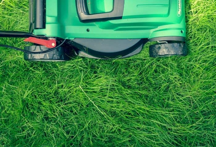 Landscaping Services in Singapore