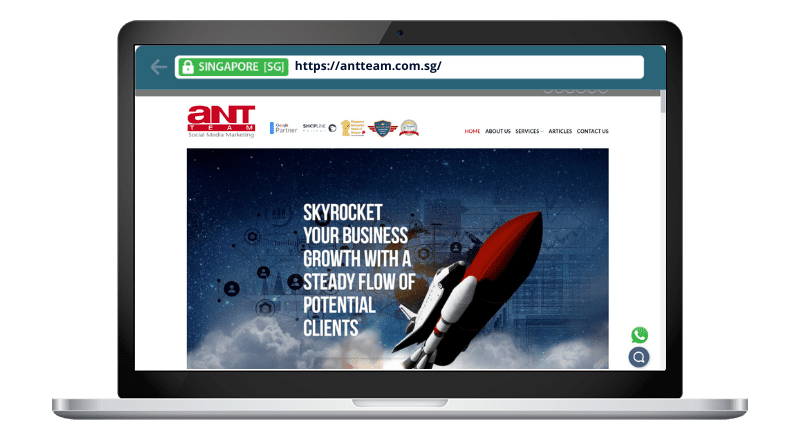 Ant Team Social Media Marketing Pte Ltd