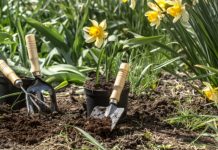 Top 10 Best Gardening Services in Singapore for 2025 Top 10 Best Gardening Services in Singapore