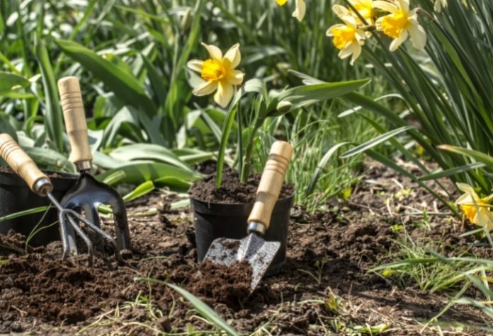 Top 10 Best Gardening Services in Singapore