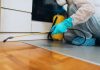 Top 10 Best Pest Control Company in Singapore for 2025 Top 10 Best Pest Control Company in Singapore