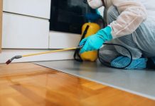 Top 10 Best Pest Control Company in Singapore for 2025 Top 10 Best Pest Control Company in Singapore