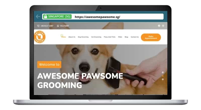 Awesome Pawsome Mobile / Home Pet Grooming Services