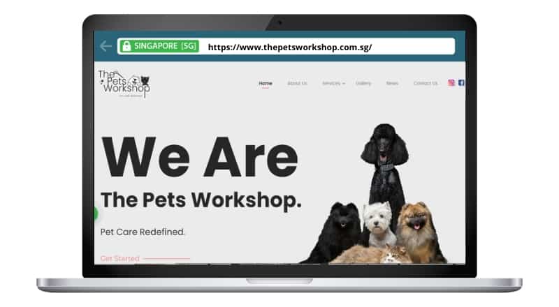 The Pets Workshop
