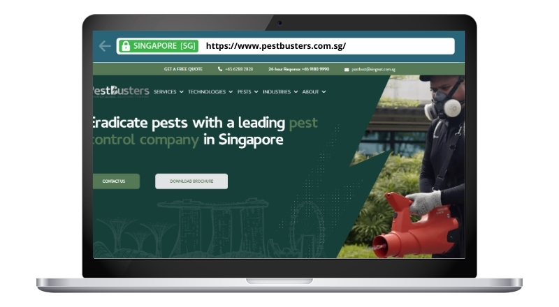 PestBusters Pte Ltd