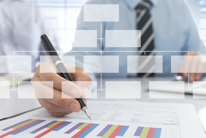 Business Structure Selection
