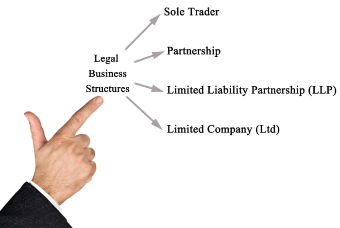 Step 2: Business Structure Selection