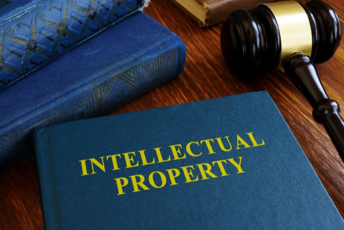 Strong Intellectual Property Protection