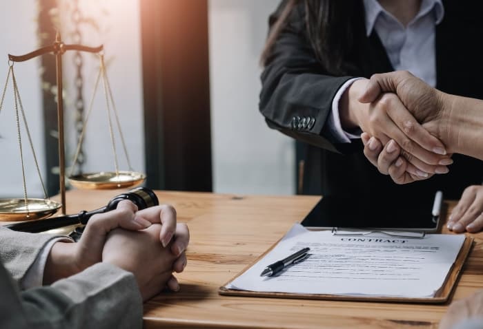 What Are Company Lawyers?