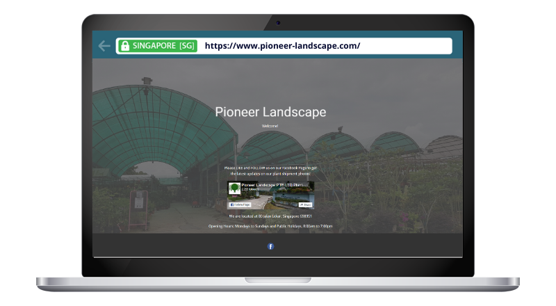 Pioneer Landscape