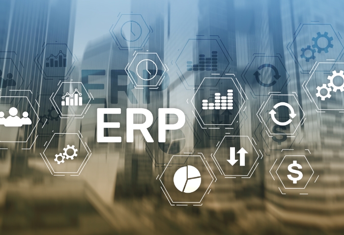 Enterprise Resource Planning (ERP) Systems