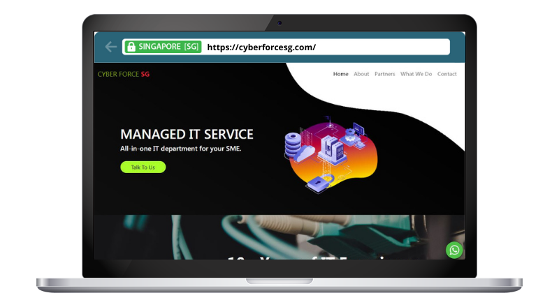 Cyber Force SG Pte.Ltd.