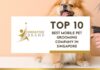 Top 10 Best Mobile Pet Grooming Company in Singapore for 2026 Top 10 Best Mobile Pet Grooming Company in Singapore