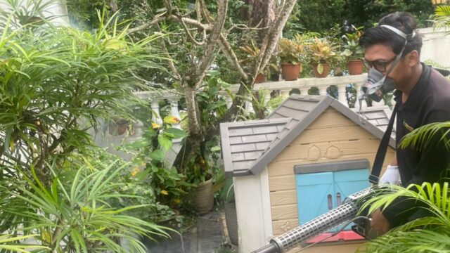 WhatsApp Image 2026-01-14 at 10.11.23