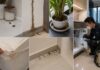 7 Signs You Need Pest Control in Singapore 7 Signs You Need Pest Control in Singapore